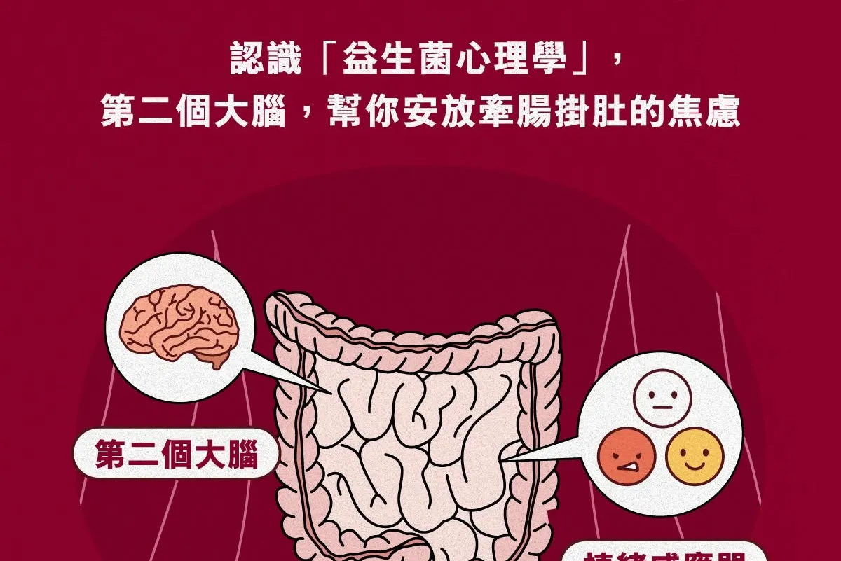 給容易緊繃的你：認識「益生心理學」，在第二個大腦，收納牽腸掛肚的焦慮