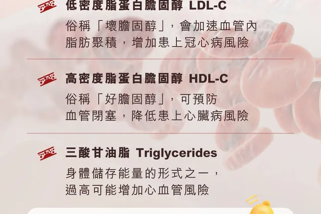 體檢報告見到紅字？一次學識睇身體畀你嘅重點訊號——血壓、血糖與膽固醇 相片 3